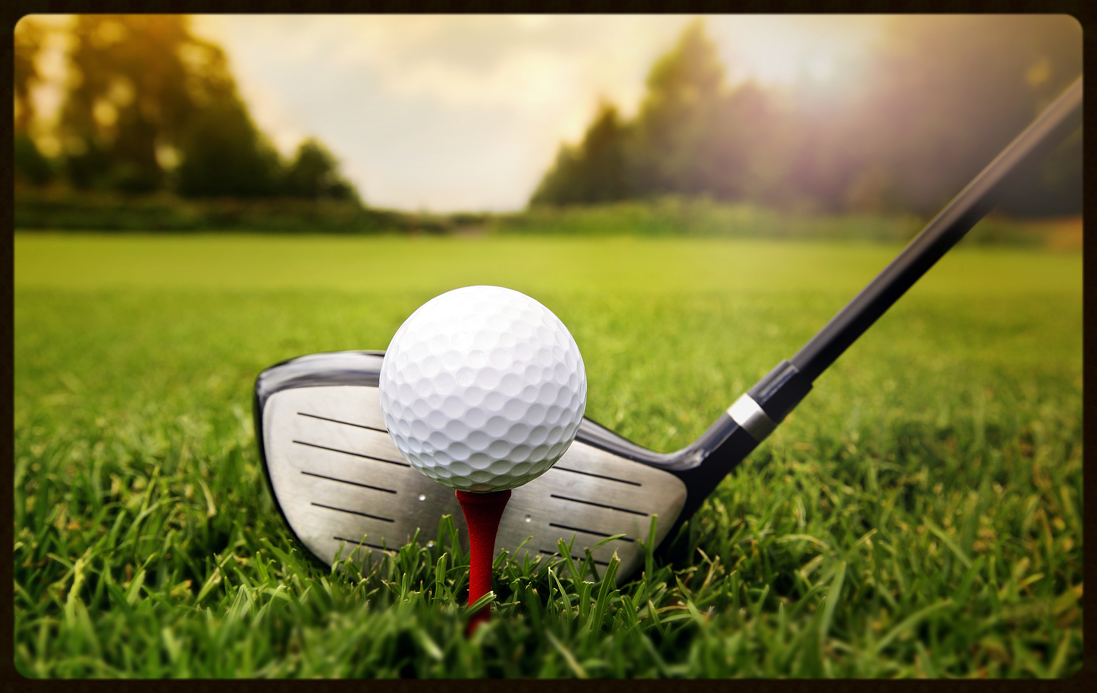 Golf Courses & Services